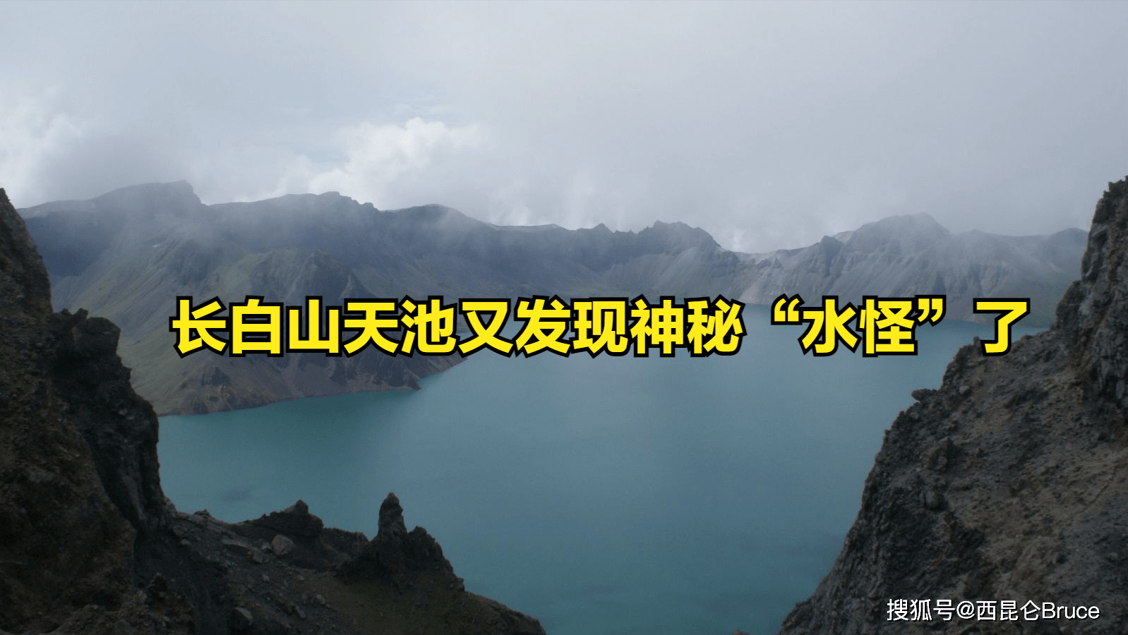 "水怪"又来了?长白山天池发现神秘生物,只露头部,真相是什么