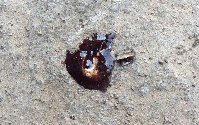 鸡拉血色粪便怎么办?_问题_治疗_肠道