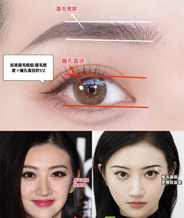 景甜韩眉造型颜值平平,画细柳眉后气质大变成经典_睫毛_颜色_长度
