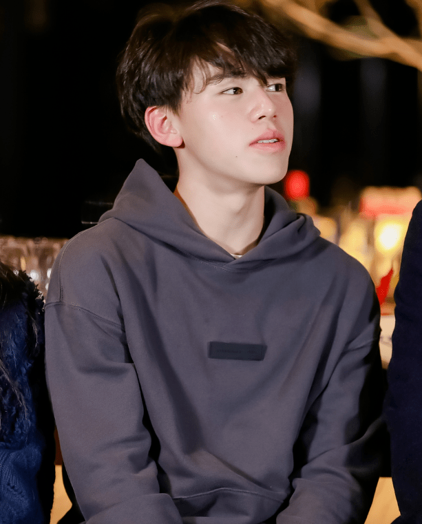 雪姨王琳久违晒17岁儿子,王诺颜值逆袭阳光帅气,眼睛像极妈妈_诺诺_类