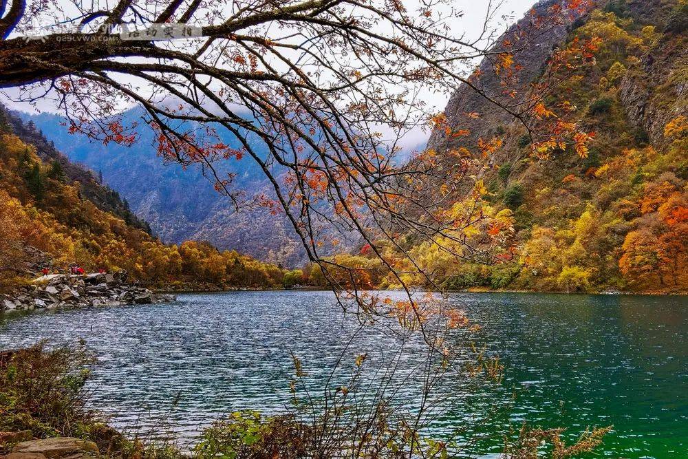 秋景也毫不逊色,10月开始美得像童话仙境!_九寨沟_湖水_瀑布