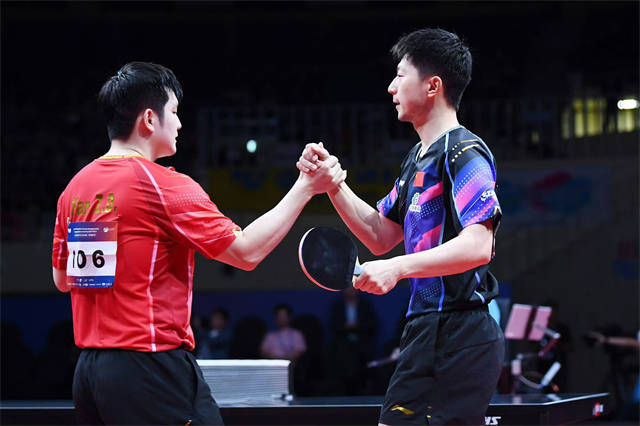 樊振东赢面更大,毕竟现在的龙队已经是35岁的人了,他在男团半决赛时就