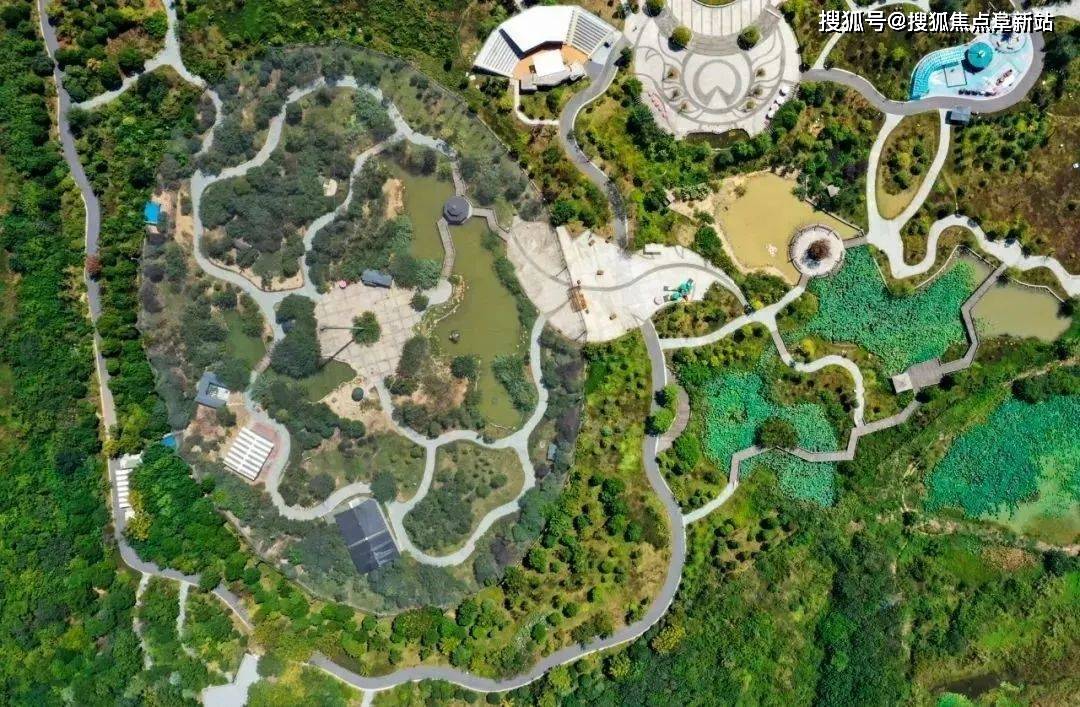 项目门前,就是龙灵山鸟语林,在这个百鸟天堂里,你可以带着孩子认知