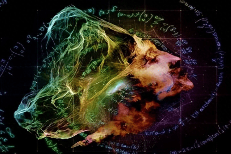 世界_意识_状态