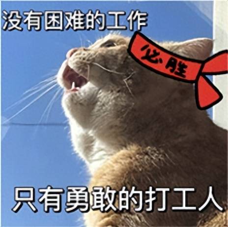 软件工程造价师证书有用吗？难不难考？
