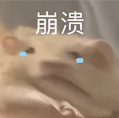 软件工程造价师证书有用吗？难不难考？