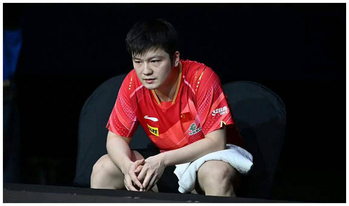 樊振东和马龙差距多大?