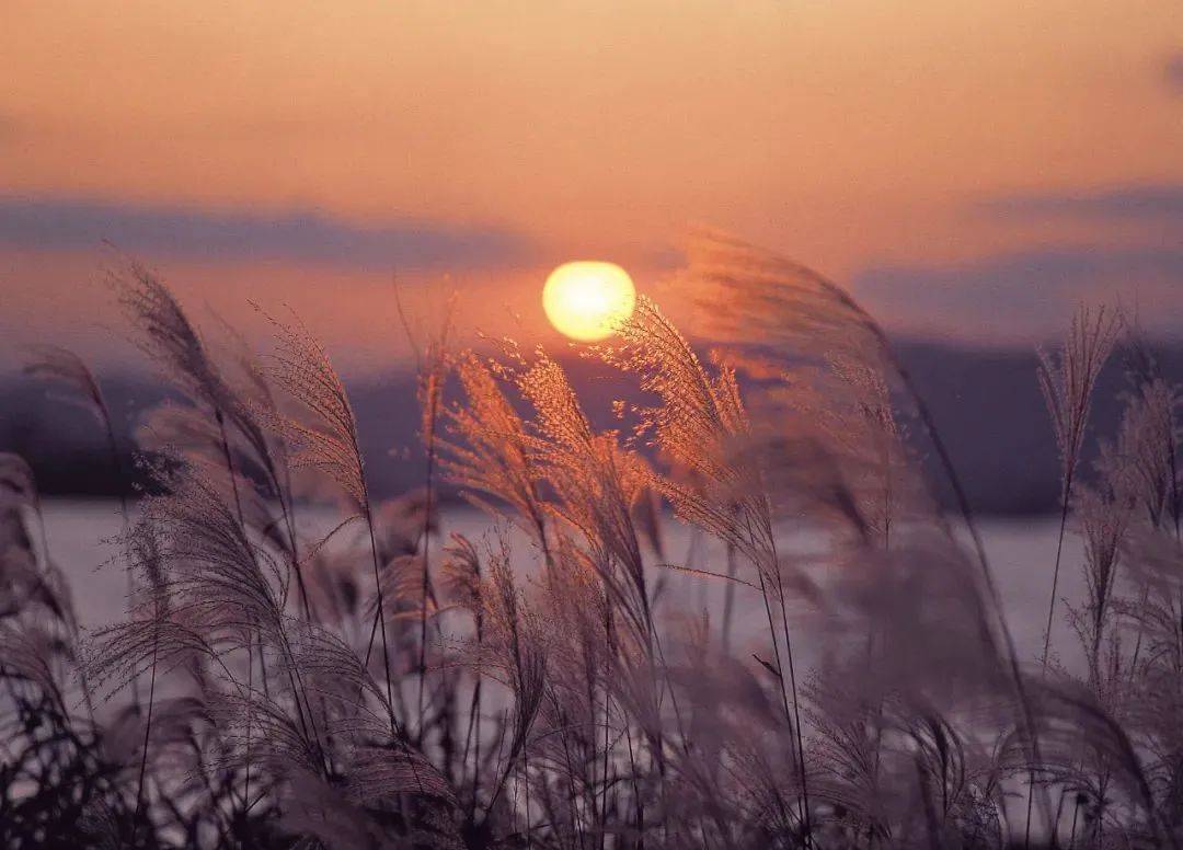 李白的诗《金陵城西楼月下吟》竟然把孤独悲凉写得如