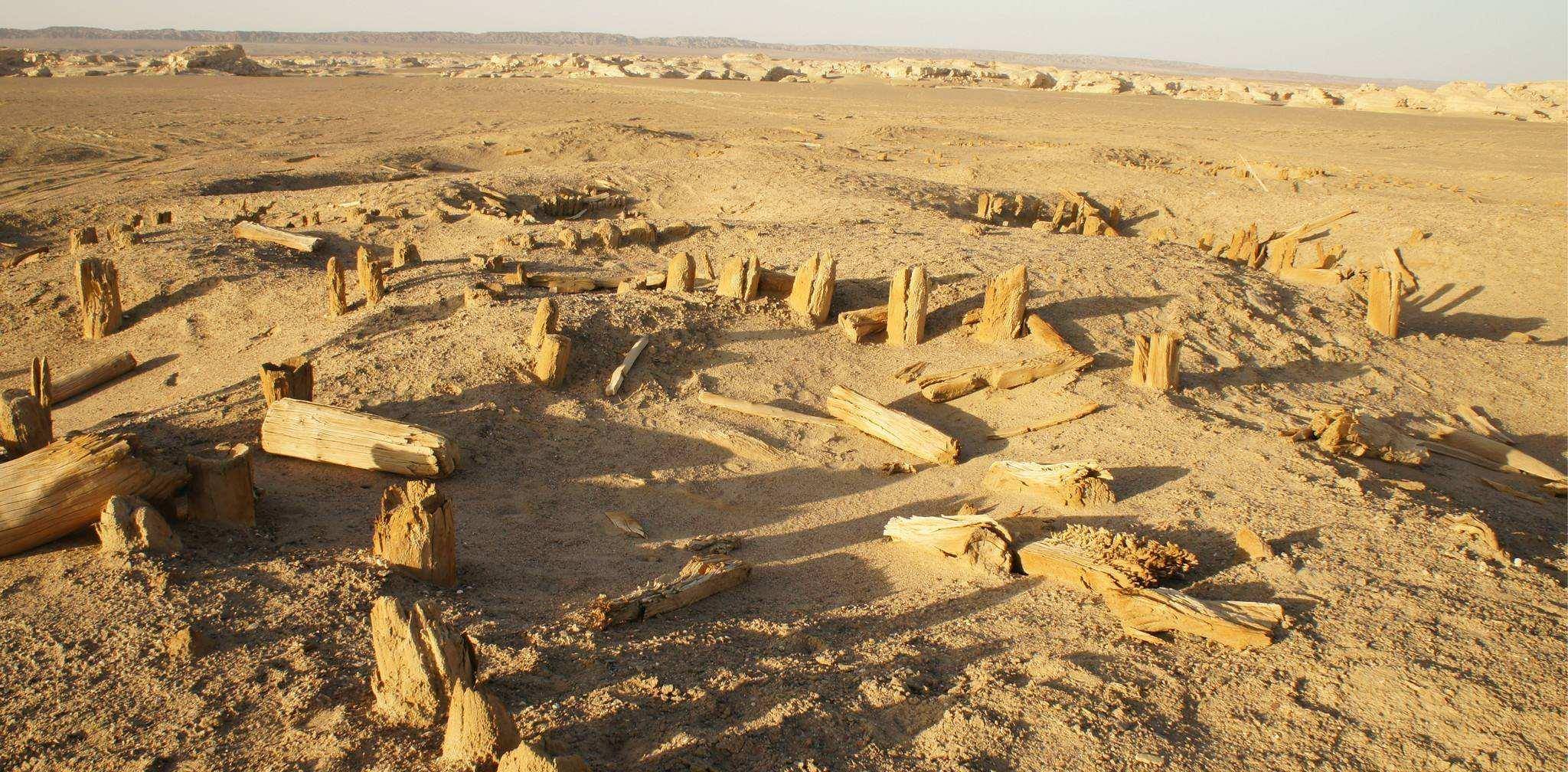 罗布泊正在复活?