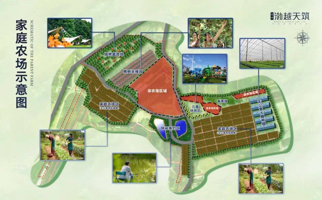 家庭农场示意图金泉·渤越天筑小区周边规划中小学,毗邻深河中学,开发