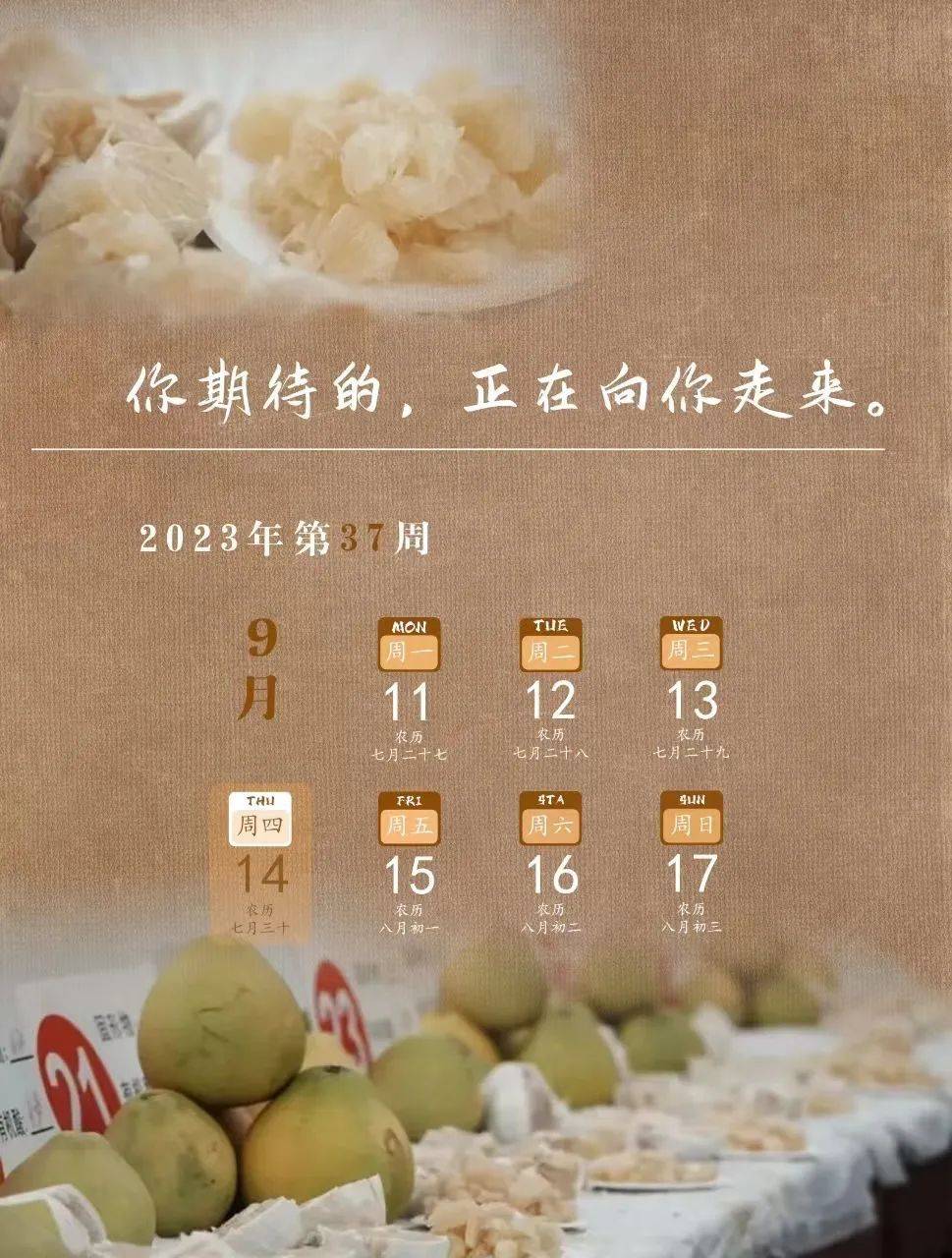 版海报设计 张楠编辑 刘榕杉本期责编 张灵洁 李文女审核 马波 刘丽