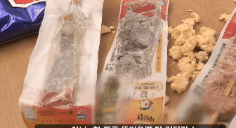 猫咪偷吃火腿肠,然后嫁祸给小猪 猫咪偷吃火腿肠,然后嫁祸给小猪