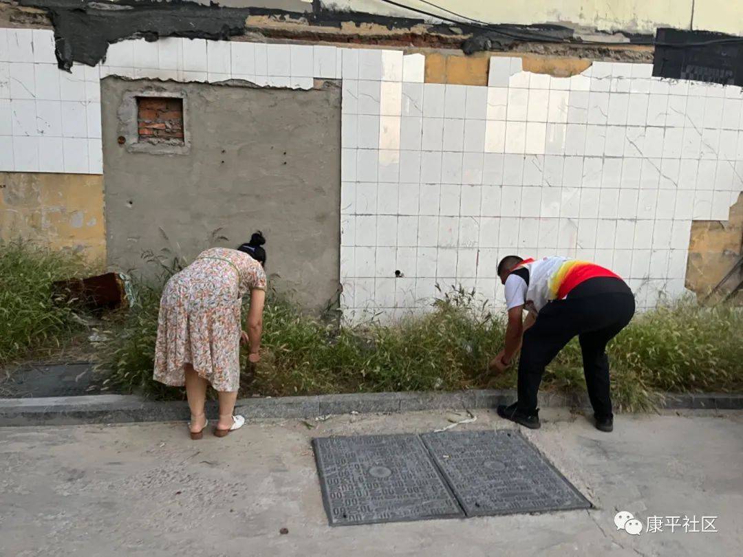 小区杂草怎么清除(小区杂草怎么处理掉)