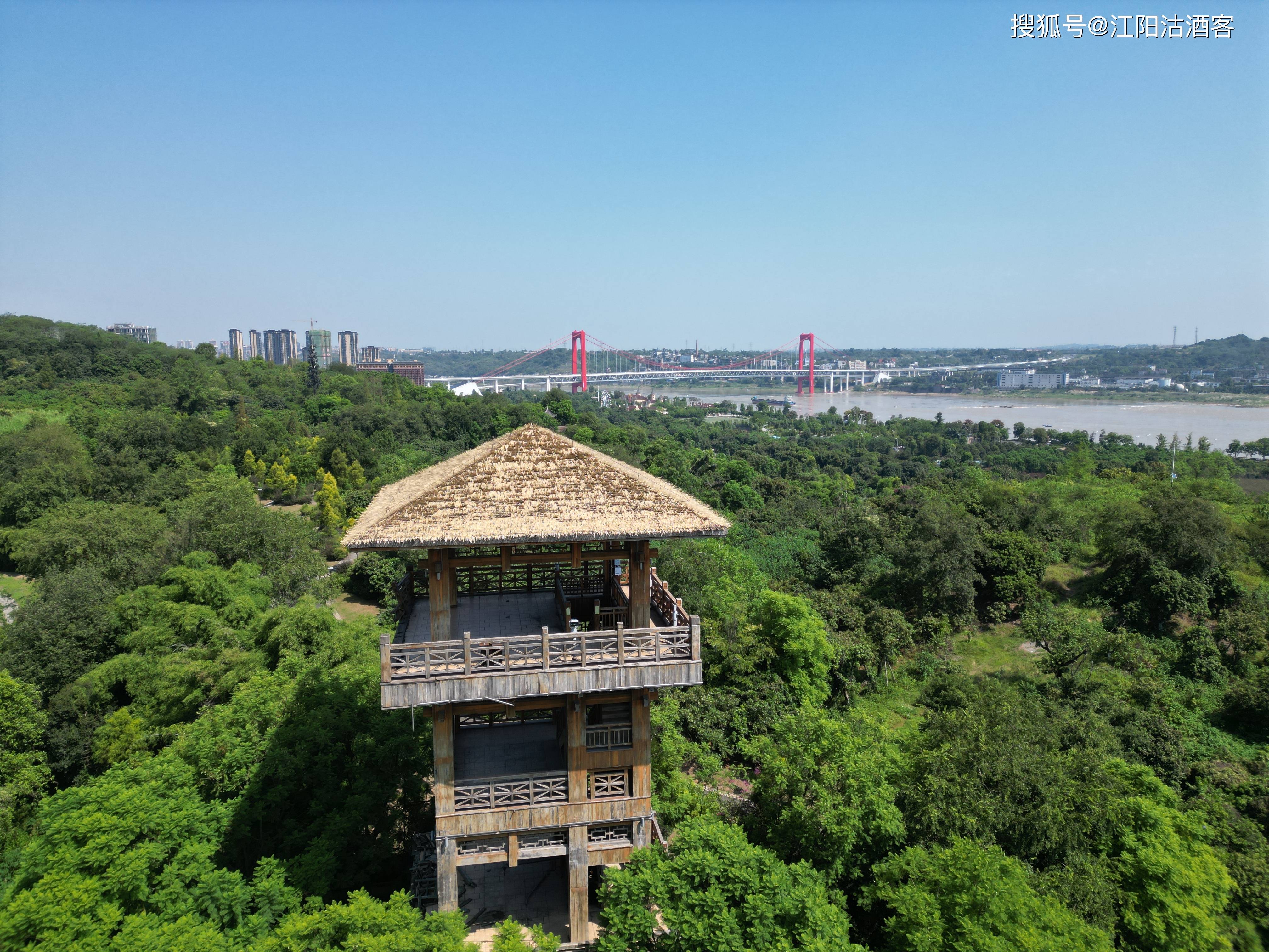 泸州张坝桂圆林风景区图片