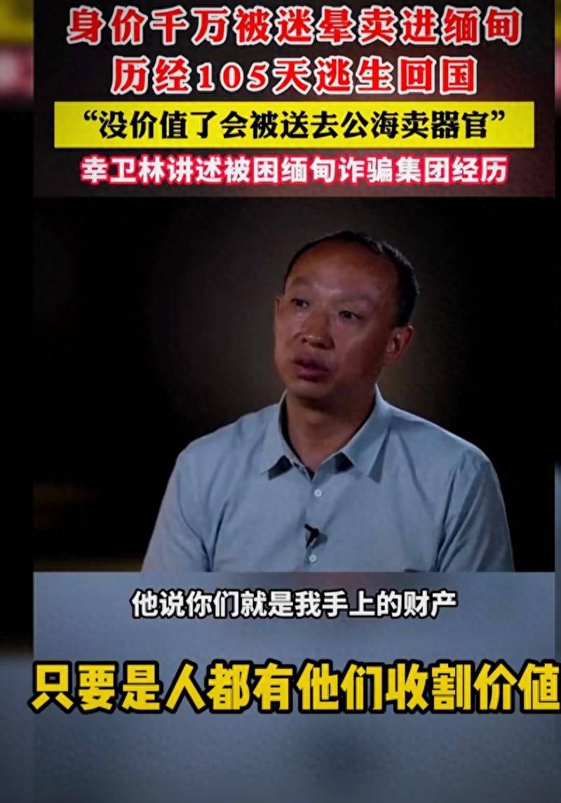缅北女魔头魏榕,到底有多"蛇蝎"?_诈骗_中国_工作