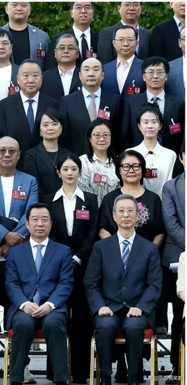 赵丽颖佟丽娅雷佳音马苏等荣膺中视协第七届理事,新团队蓄势待发_影响