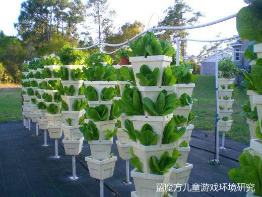 小空间,大创意:如何在幼儿园有限的户外场地内配置种植区_植物_区域