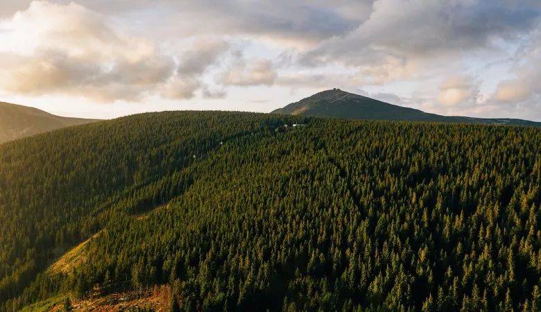 家居巨头们的699元低价风暴,最受伤的有三类人群-家电圈官网