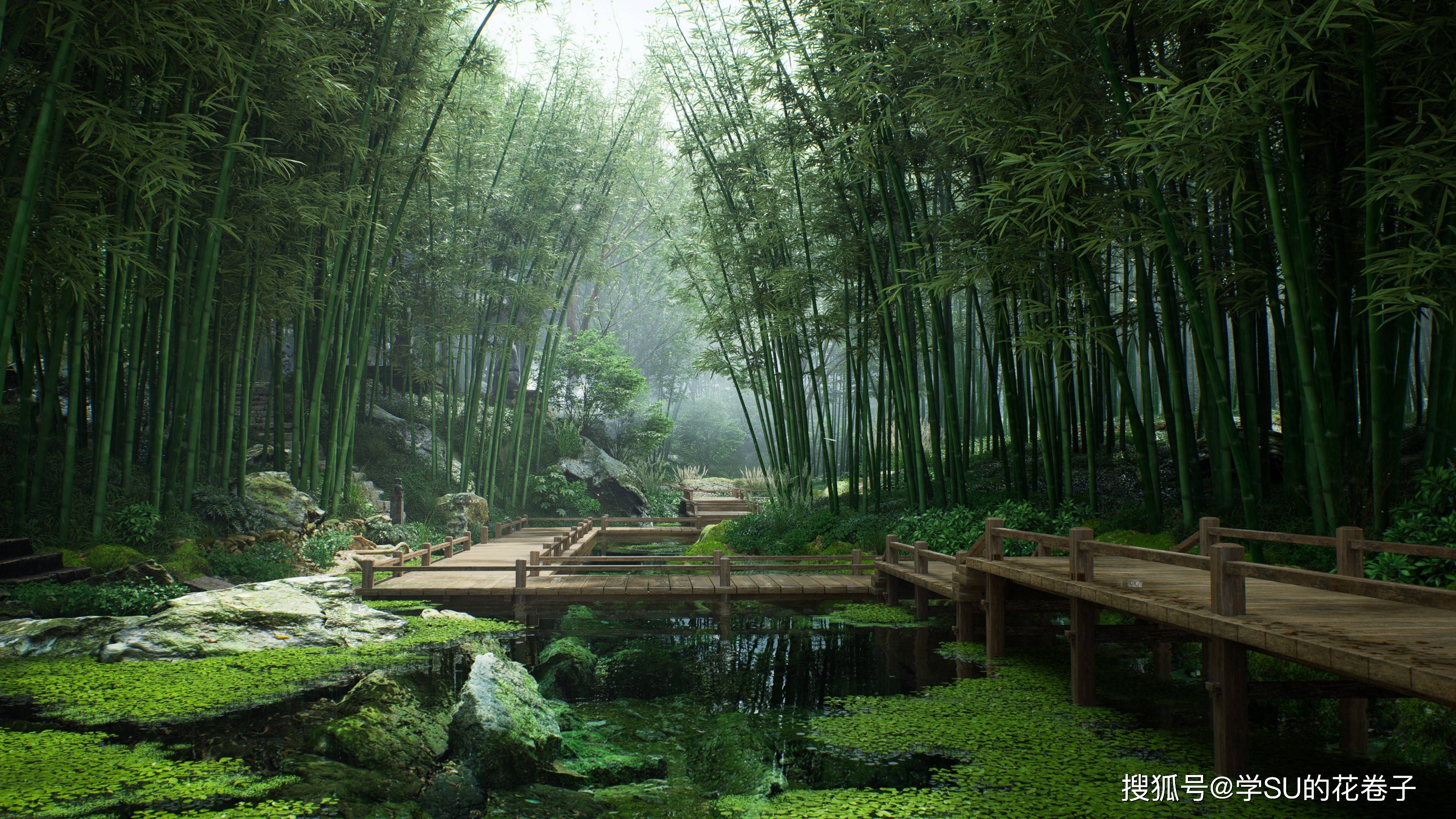 园林景观设计五大植物原则,效果图参考