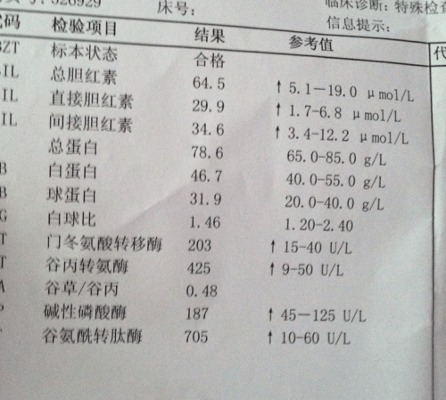 以下就是一张胡某的抽血化验单,报告显示胡某的总胆红素高达64