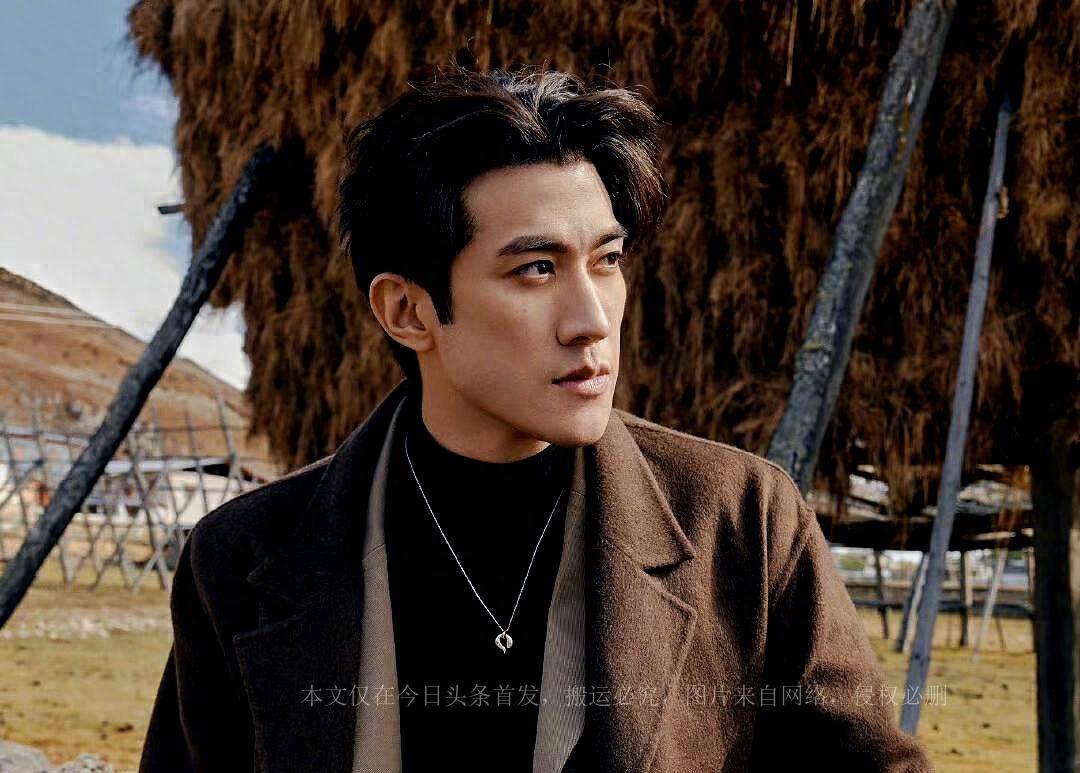 之后,他又因参演了《武媚娘传奇》,《误杀2》,《一夜惊喜》等电影和