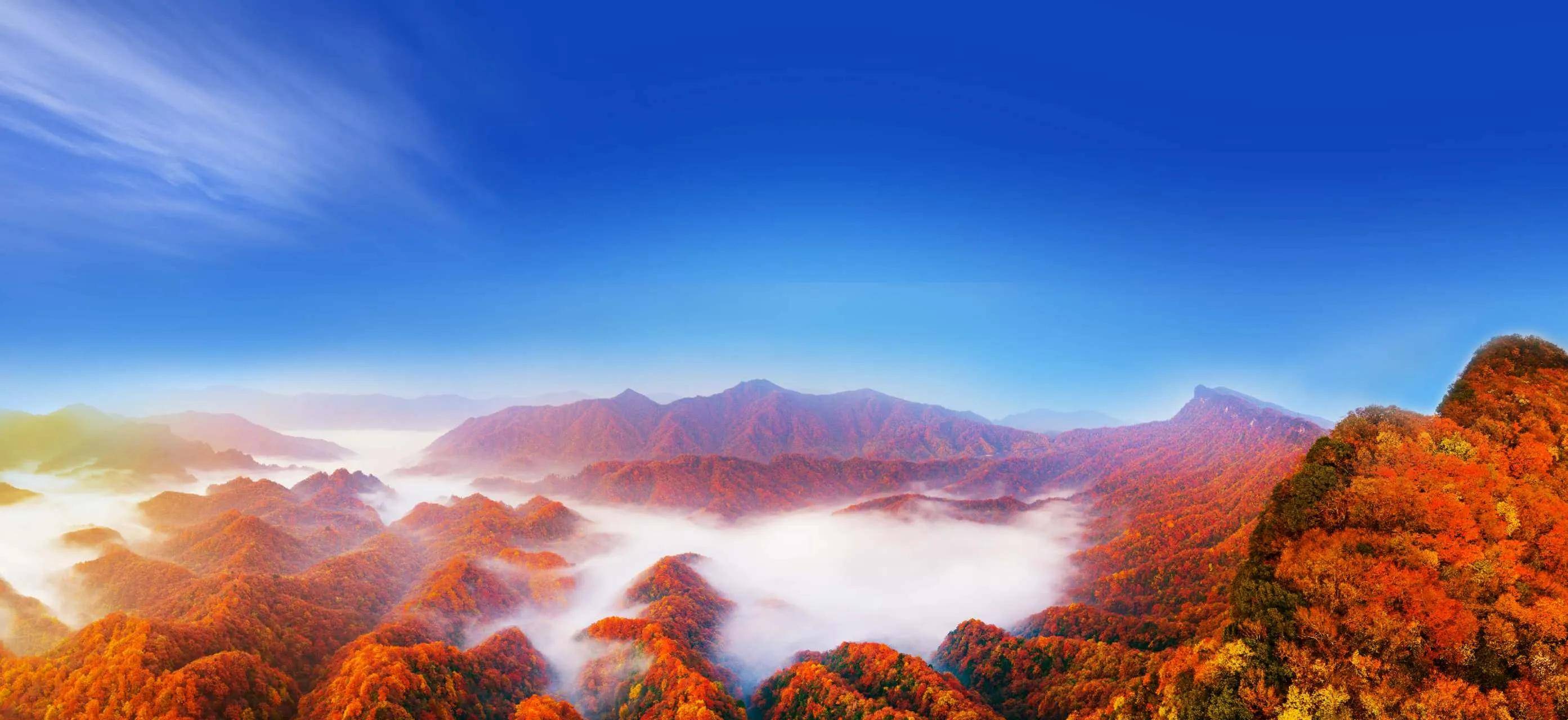 及时了解光雾山红叶观赏指数,旅游攻略,餐饮住宿,门票等信息