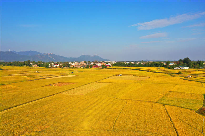 三江幸福田园图片