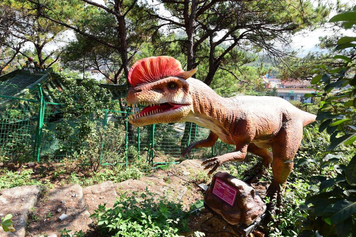 国庆来隐贤山庄 开启欢乐世界的n种玩法_动物园_游客_恐龙