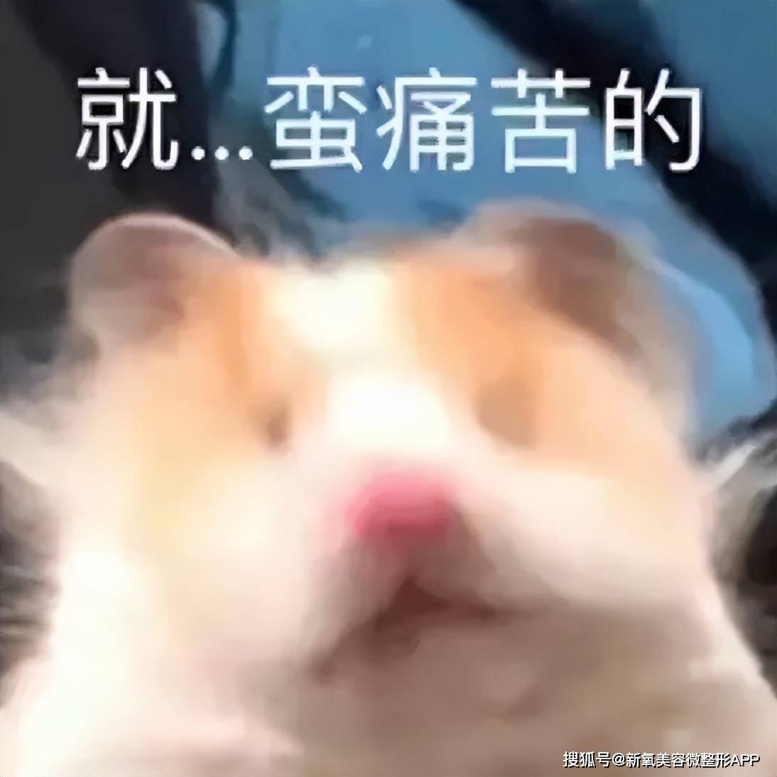 manbetx万博网页版
