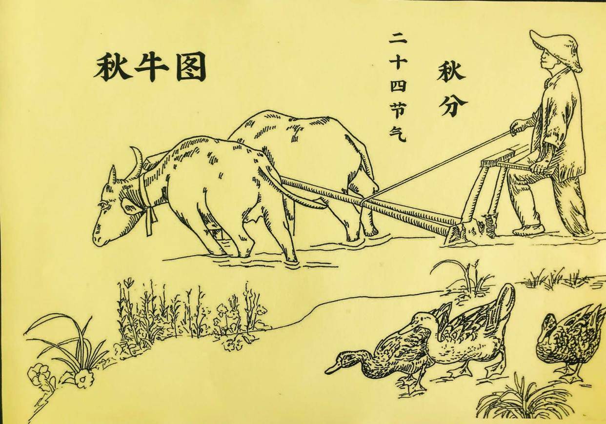 在秋分这一天,一些地区会有人挨家挨户送秋牛图.