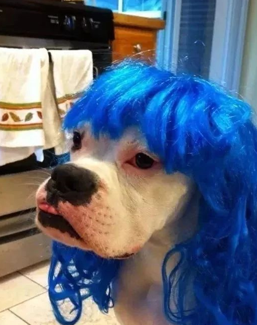 发型_亲朋好友_最好的