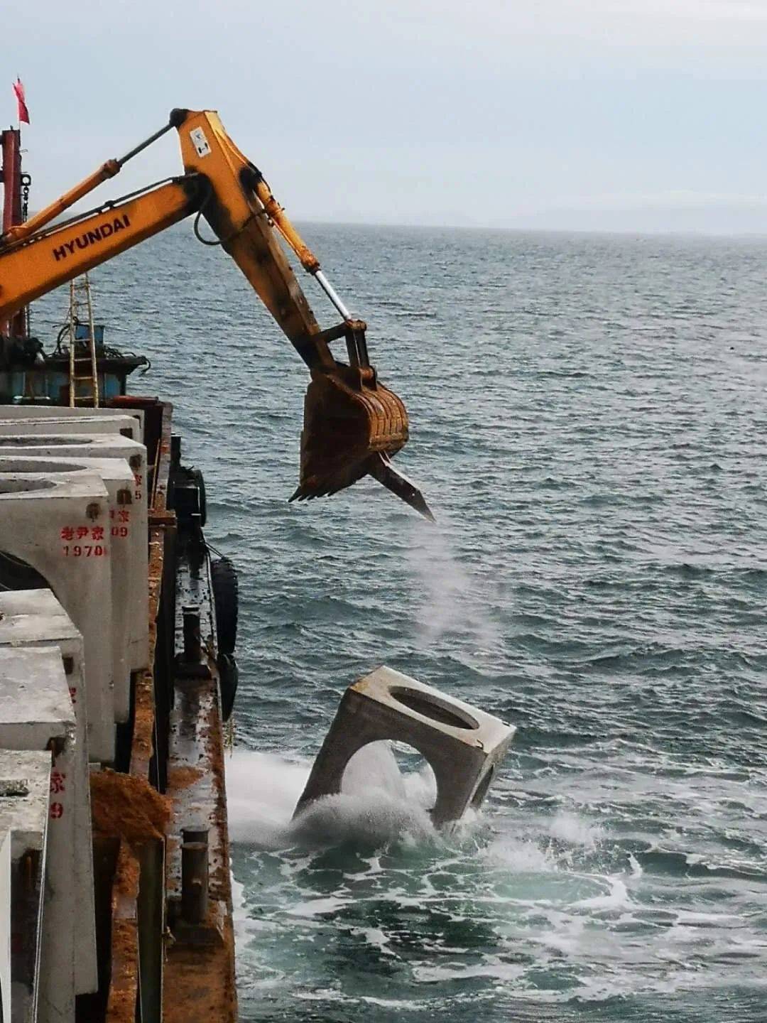 海洋宝藏酒汲取自然之魅,传承海藏文化_海参_海底