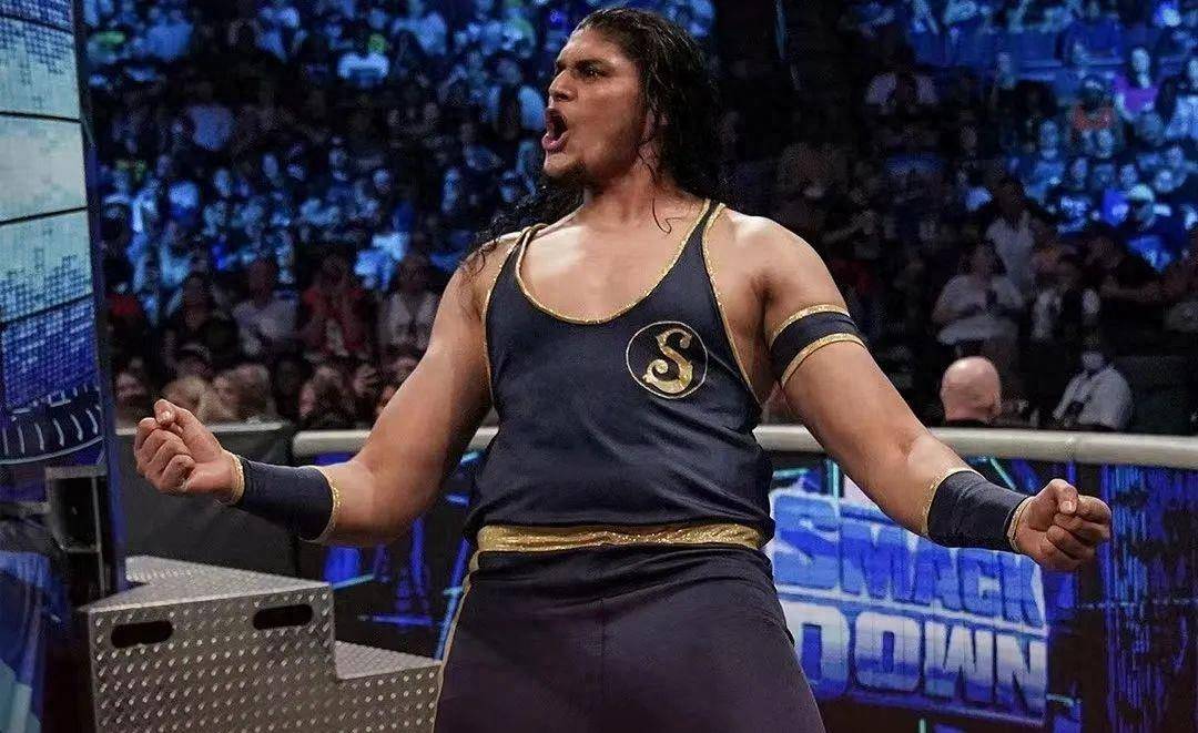 wwe解雇潮来临!道夫齐格勒也在其中!_选手_名单_训练