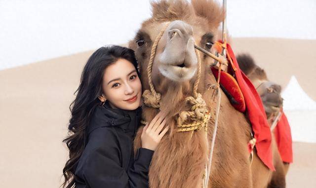 angelababy回应了_杨颖_演技_网友