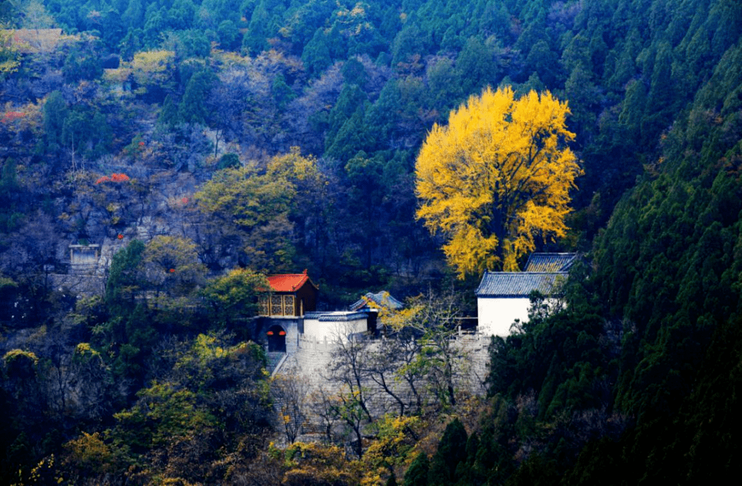 99地址:济南市章丘区文祖街道/ 锦屏山,三德范村 /03*露营,场地预约