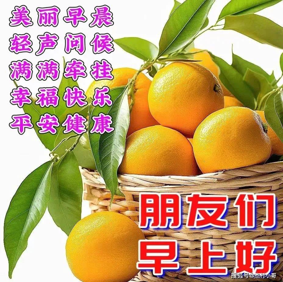 今日最新早安早上好精选,开心快乐人健康