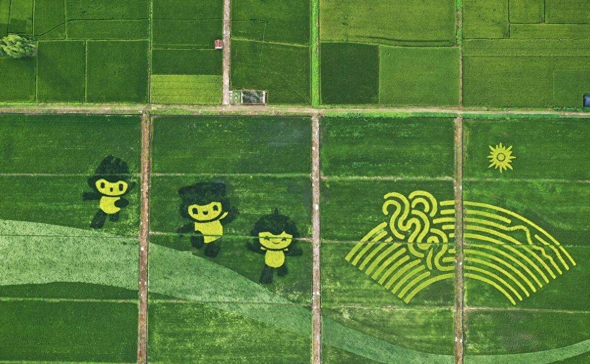 绿色亚运,展新时代我们底色,共享可持续未来!_环保_理念_全球