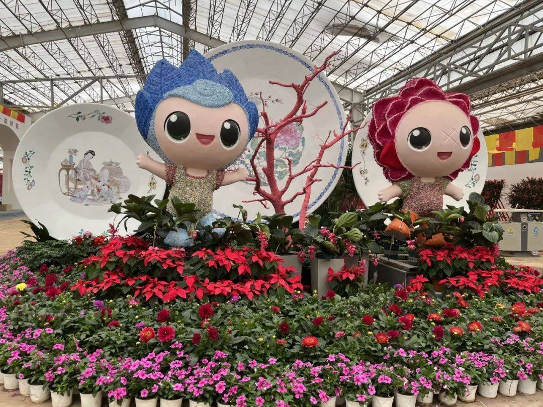 第23届中国(青州)花卉博览交易会暨第17届山东省花卉交易会将于明日(9