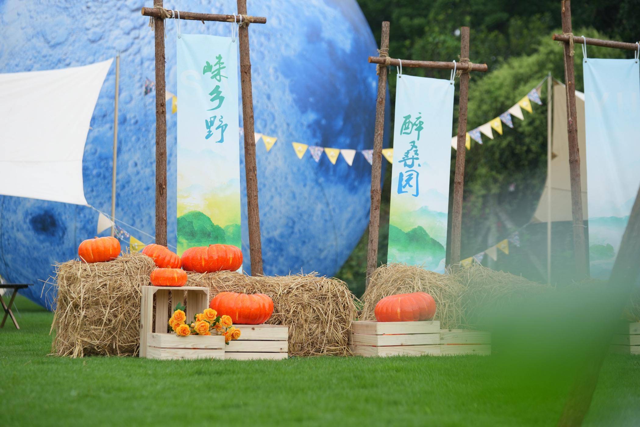 醉桑园"谢家坝子精品民宿开业仪式暨项目推介会召开_成都_邛崃市_乡村