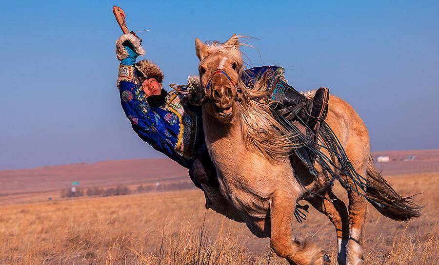 蒙古突骑图片