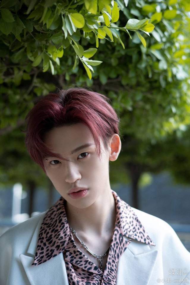 angelababy身穿白色吊带裙,现身音乐节,疑为王琳凯撑腰_人气_身材