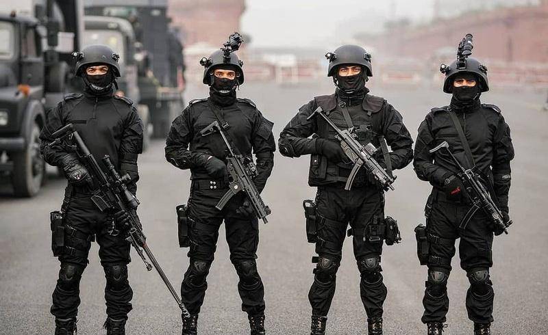 s空勤团和gsg9反恐大队,建立了自己的"国家安全卫队",用以保障本国