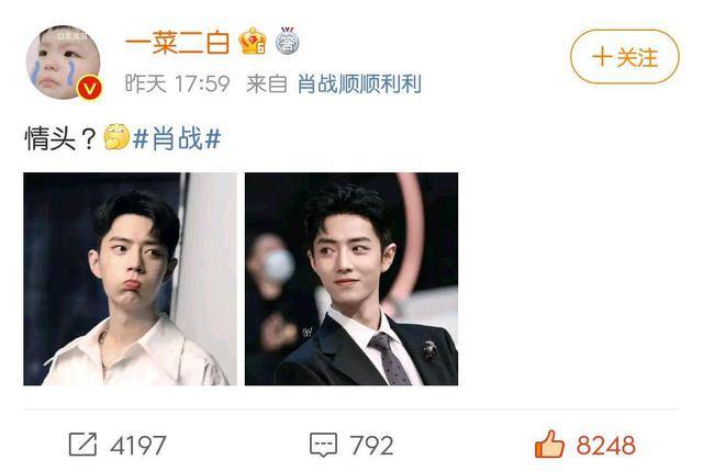 肖战新代言全球晒单,路人称赞肖战不浮夸,小小战被拉出营业_明星_流量