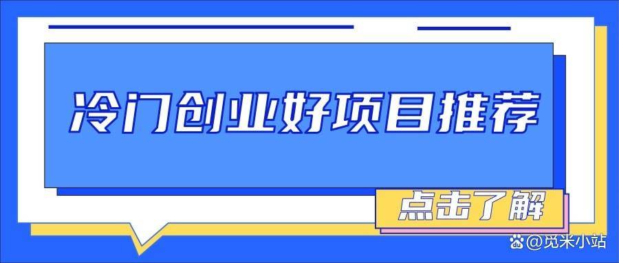 冷门创业项目大揭晓_问卷调查_渠道_公司