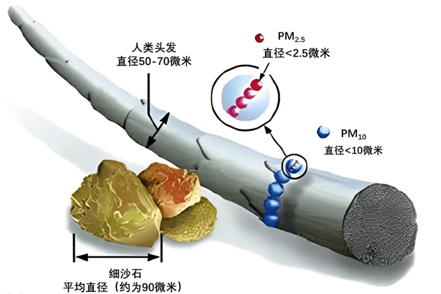 环保科普 | 认识大气气溶胶:微小颗粒,巨大影响_粒子_人体_环境