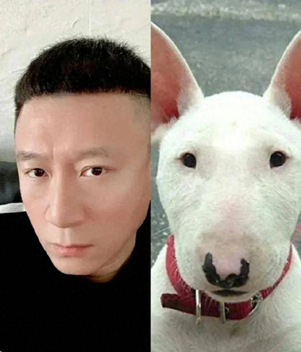 盘点撞脸动物的明星,肖战排第八,朱一龙排第二,第一名戳中笑点