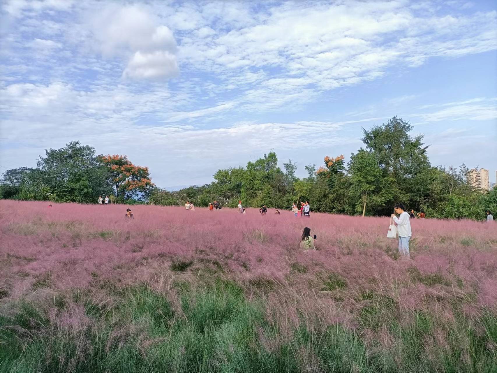 宜昌森林公园图片