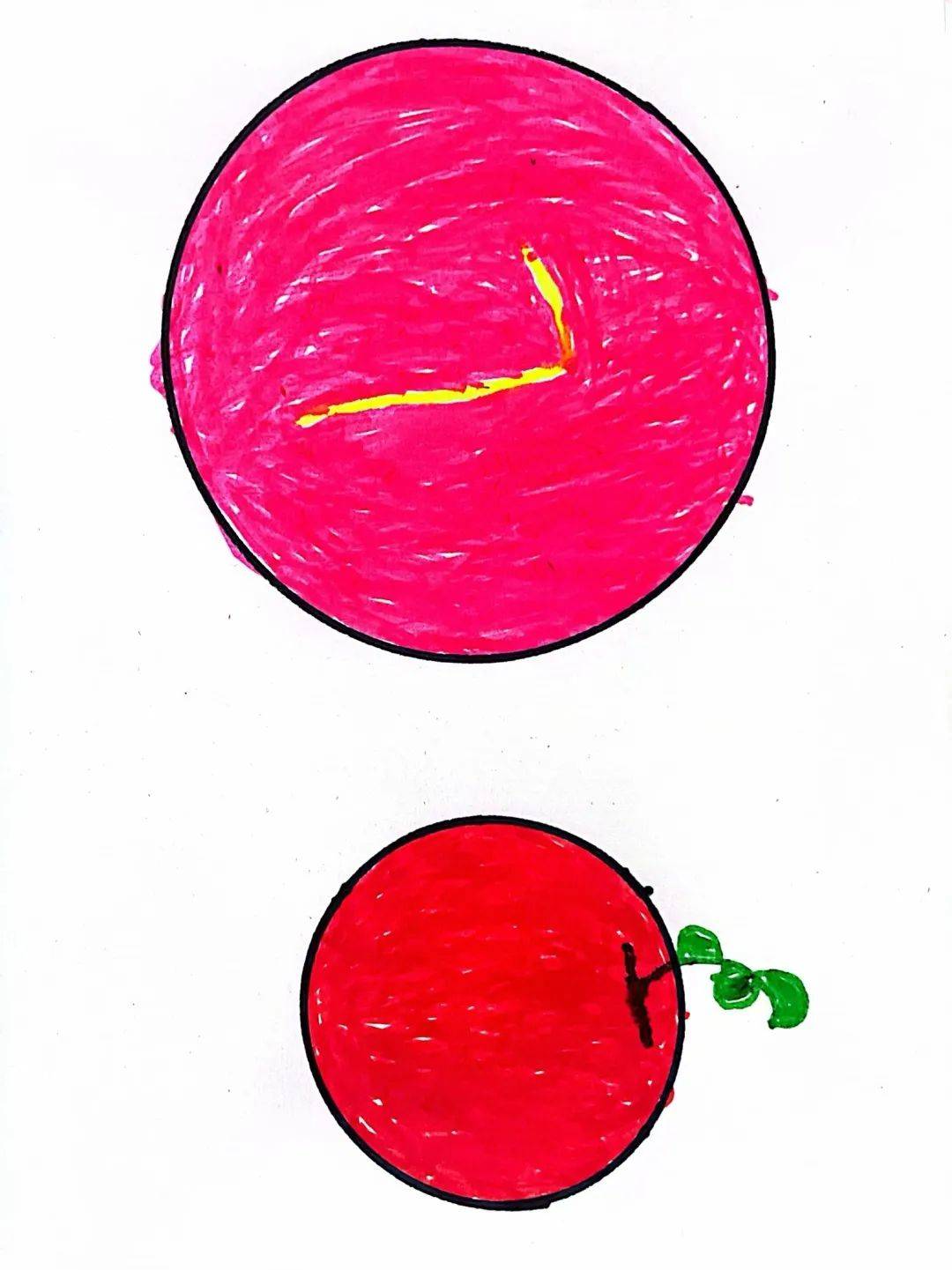 《圆圆的世界》 探索活动开始了