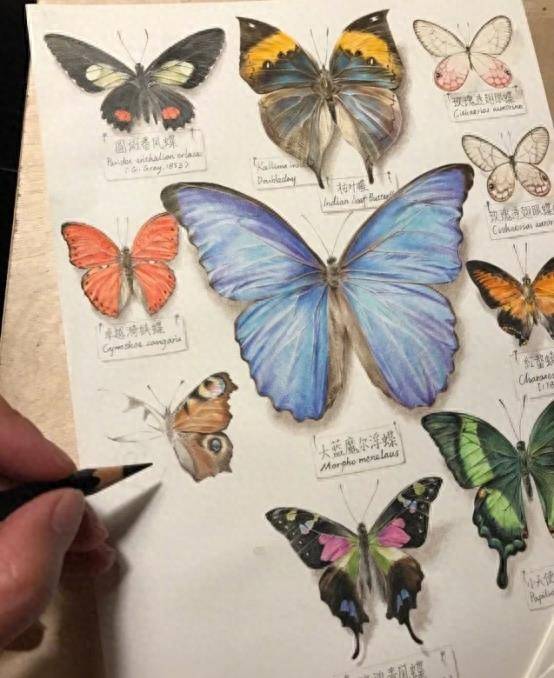 但不曾想,王昱珩在画画方面有着很高的天赋,为了转移他的注意力