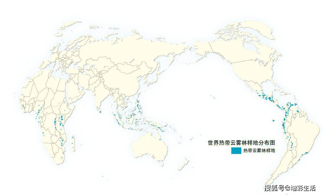 世界常绿阔叶林分布图图片